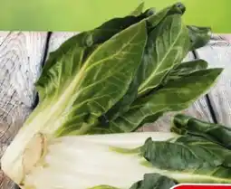 Eurospar Spar Asia Mangold Angebot