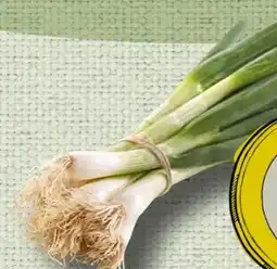 Spar Jungzwiebel Angebot