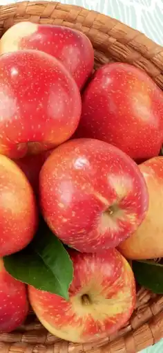 SPAR Gourmet SweeTango Äpfel Angebot