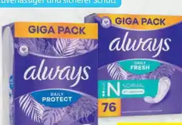 Hofer Always Slipeinlagen Angebot