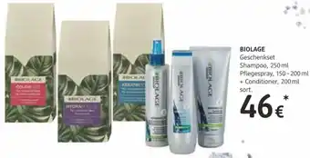 dm Biolage Geschenkset Angebot