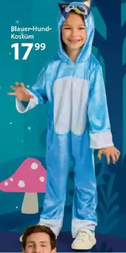 NKD Blauer-hund- kostüm Angebot
