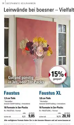 boesner Faustus Angebot