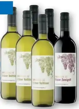 T&G Winzer Krems Grüner Veltliner Angebot