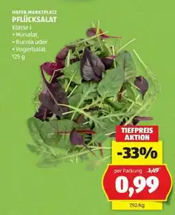 Hofer PFLÜCKSALAT Angebot