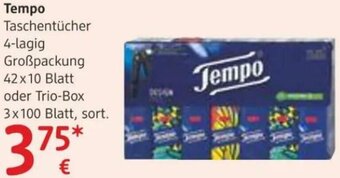 dm Tempo Taschentücher Angebot