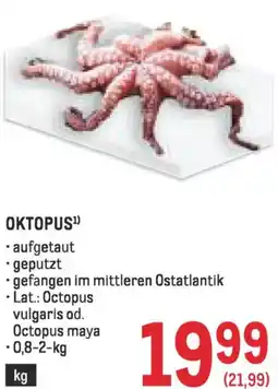 Metro Oktopus Angebot
