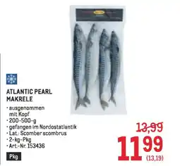 Metro Atlantic pearl makrele Angebot