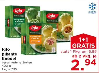 Iglo pikante Knödel