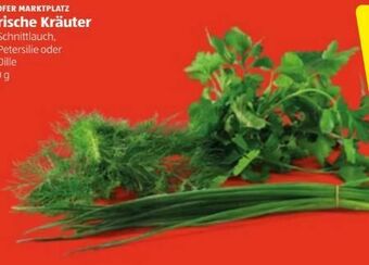Hofer Kräuter Angebot
