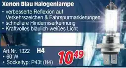 Zgonc Xenon Blau Halogenlampe Angebot