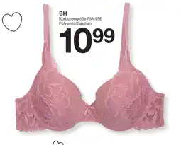 Zeeman BH Angebot