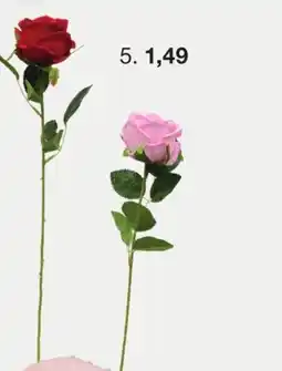 Zeeman Karabinerherzen Angebot