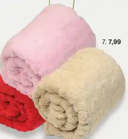 Zeeman Kissen Angebot