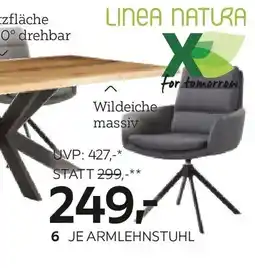 XXXLutz JE ARMLEHNSTUHL Angebot