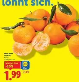 Lidl Mandarinen mit Blatt Angebot