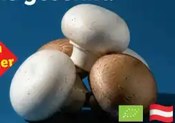 Lidl Champignons Angebot