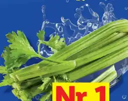 Lidl Bio-Stangensellerie Angebot
