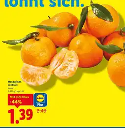 Lidl Mandarinen Angebot