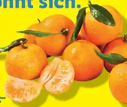 Lidl Mandarinen Angebot