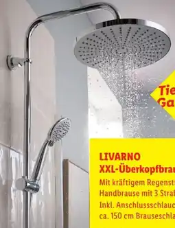 Lidl Livarno Home Überkopfbrause-Set Angebot
