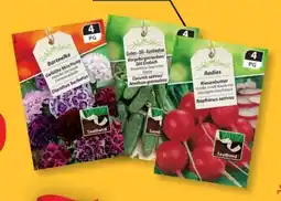 Lidl Premium Sämereien Angebot