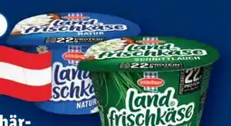 Lidl Schärdinger Landfrischkäse Angebot