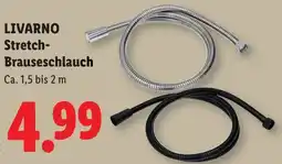 Lidl LIVARNO Stretch Brauseschlauch Angebot