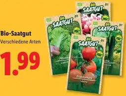 Lidl Bio-Saatgut Angebot