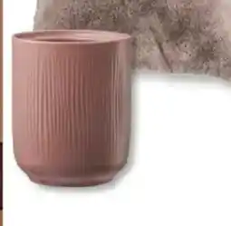 Bauhaus Soendgen keramik orchideentopf falun Angebot