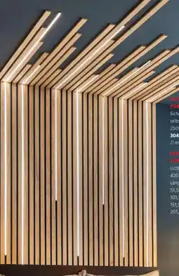 Bauhaus Bidesign wang paneel wall smart Angebot