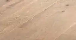 Bauhaus Logoclic fertigparkett eiche matt Angebot