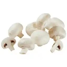 Lidl Champignons weiß Lidl Angebot