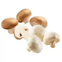 Lidl Champignons weiß oder braun Lidl Angebot