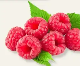 MPreis Himbeeren Angebot