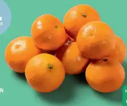 PENNY Mandarinen Angebot