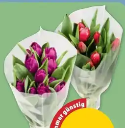 PENNY Schnittblumen Tulpen Angebot