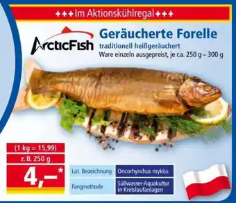 Norma Geräucherte Forelle Angebot