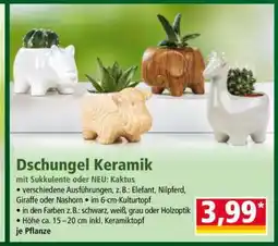Norma Dschungel Keramik Angebot