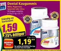 Norma Dental Kaugummis Angebot