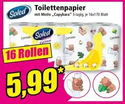 Norma TOILETTENPAPIER Angebot
