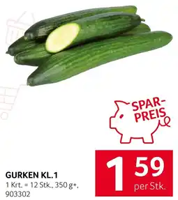 Transgourmet Gurken kl.1 Angebot