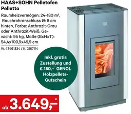 Lagerhaus HAAS+SOHN Pelletofen Pelletto Angebot