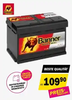 Forstinger Banner power bull Angebot