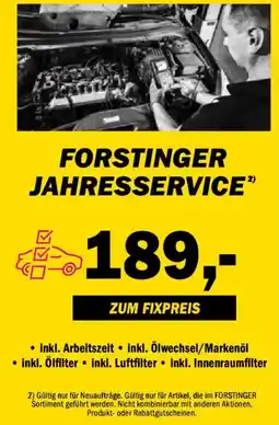 Forstinger FORSTINGER JAHRESSERVICE Angebot