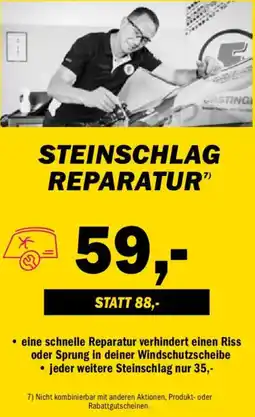 Forstinger Steinschlag reparatur Angebot