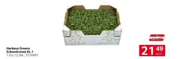 Transgourmet Herbeus Greens Erbsenkresse Angebot