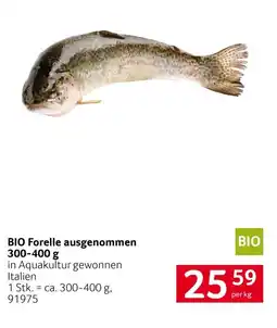 Transgourmet Bio forelle ausgenommen Angebot