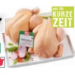 Maximarkt Österr. Maishendl Maximarkt Angebot