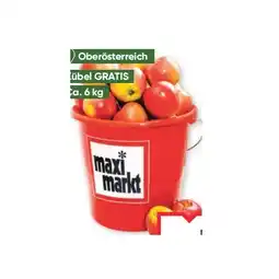 Maximarkt 10 Liter Kübel mit Jonagold Äpfeln Maximarkt Angebot
